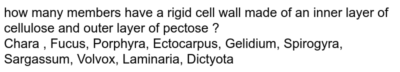how many members have a rigid cell wall made of an inner layer of cellulose and outer layer of pectose ? Chara , Fucus, Porphyra, Ectocarpus, Gelidium, Spirogyra, Sargassum, Volvox, Laminaria, Dictyota