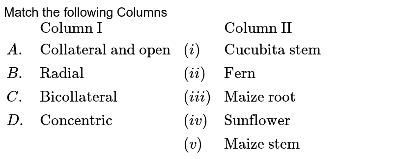 Match the following Columns {:(,"Column I",,"Column II"),(A.,"Collateral and open",(i),"Cucubita stem"),(B.,"Radial",(ii),"Fern"),(C.,"Bicollateral",(iii),"Maize root"),(D.,"Concentric",(iv),"Sunflower"),(,,(v),"Maize stem"):}