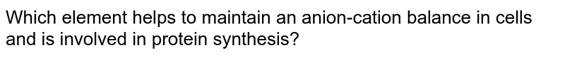 Which element helps to maintain an anion-cation balance in cells and is involved in protein synthesis?