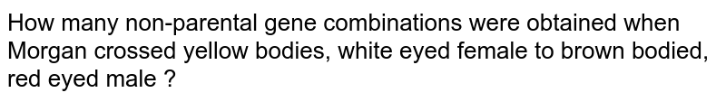 How many non-parental gene combinations were obtained when Morgan crossed yellow bodies, white eyed female to brown bodied, red eyed male ?