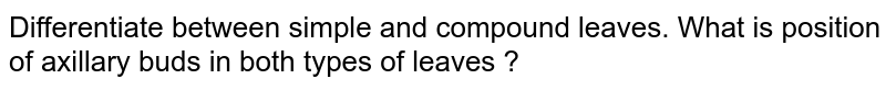 Differentiate between simple and compound leaves. What is position of axillary buds in both types of leaves ?
