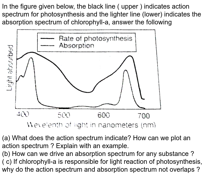 Following figure shows the absorption spectrum for chlorophyll a