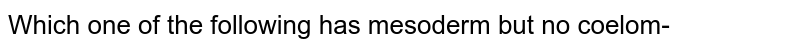 Which one of the following has mesoderm but no coelom-