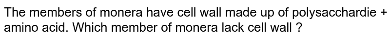 The members of monera have cell wall made up of polysacchardie + amino acid. Which member of monera lack cell wall ?