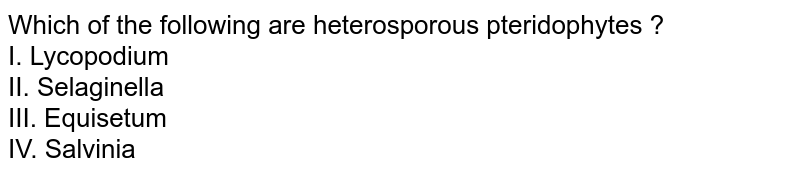 Which of the following are heterosporous pteridophytes ? I. Lycopodium II. Selaginella III. Equisetum IV. Salvinia