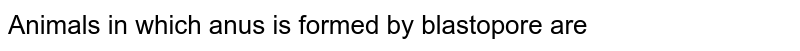 Animals in which anus is formed by blastopore are