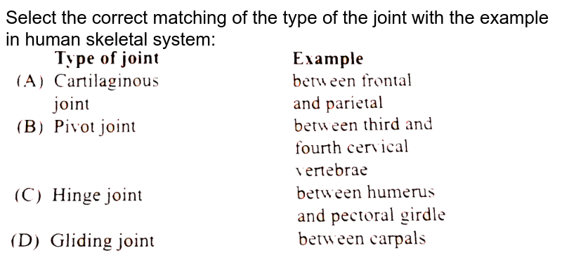 Select the correct matching of the type of the joint with the example in human skeletal system: