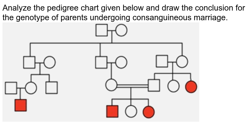 What is consanguineal marriage? Why is the appearing of genetic di