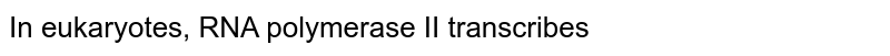 In eukaryotes, RNA polymerase II transcribes