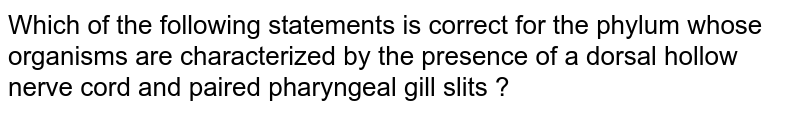 Which of the following statements is correct for the phylum whose organisms are characterized by the presence of a dorsal hollow nerve cord and paired pharyngeal gill slits ?