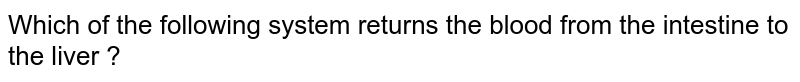 Which of the following system returns the blood from the intestine to the liver ?