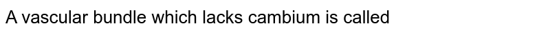 A vascular bundle which lacks cambium is called