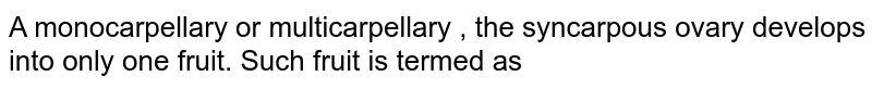 A monocarpellary or multicarpellary , the syncarpous ovary develops into only one fruit. Such fruit is termed as