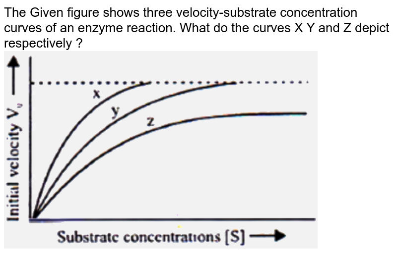 The Given figure shows three velocity-substrate concentration curves of an enzyme reaction. What do the curves X Y and Z depict respectively ?