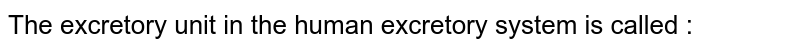 The excretory unit in the human excretory system is called :
