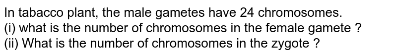 In tabacco plant, the male gametes have 24 chromosomes. (i) what is the number of chromosomes in the female gamete ? (ii) What is the number of chromosomes in the zygote ?