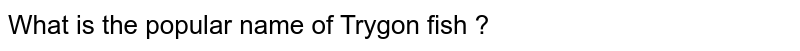 What is the popular name of Trygon fish ?