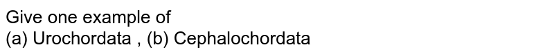 Give one example of (a) Urochordata , (b) Cephalochordata