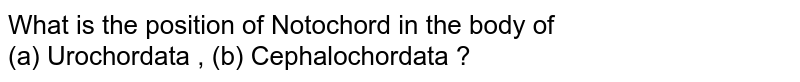 What is the position of Notochord in the body of (a) Urochordata , (b) Cephalochordata ?