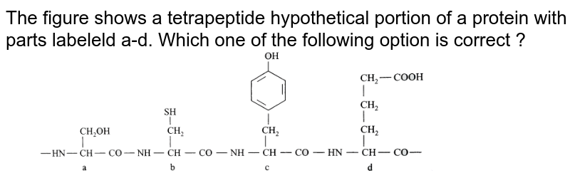 The figure shows a tetrapeptide hypothetical portion of a protein with parts labeleld a-d. Which one of the following option is correct ?