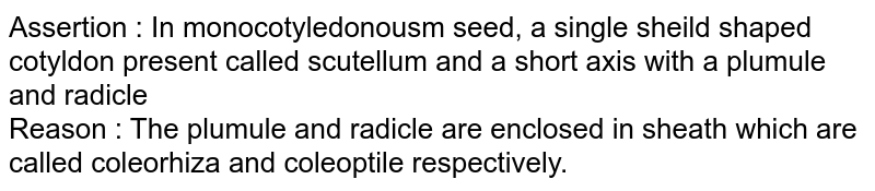 Assertion : In monocotyledonousm seed, a single sheild shaped cotyldon present called scutellum and a short axis with a plumule and radicle Reason : The plumule and radicle are enclosed in sheath which are called coleorhiza and coleoptile respectively.