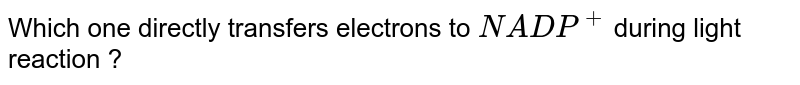 Which one directly transfers electrons to NADP^(+) during light reaction ?