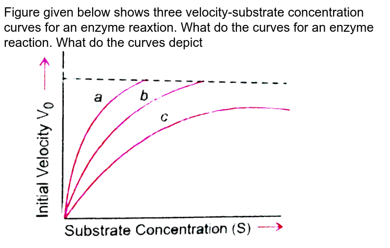 Figure given below shows three velocity-substrate concentration curves for an enzyme reaxtion. What do the curves for an enzyme reaction. What do the curves depict