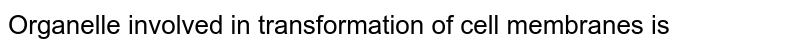 Organelle involved in transformation of cell membranes is