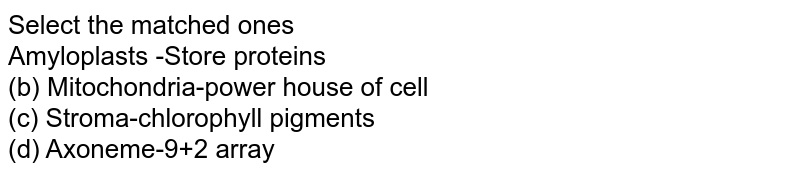 Select the matched ones Amyloplasts -Store proteins (b) Mitochondria-power house of cell (c) Stroma-chlorophyll pigments (d) Axoneme-9+2 array