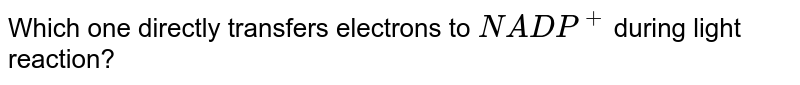 Which one directly transfers electrons to NADP^(+) during light reaction?