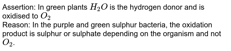 Assertion: In green plants H_(2)O is the hydrogen donor and is oxidised to O_(2) Reason: In the purple and green sulphur bacteria, the oxidation product is sulphur or sulphate depending on the organism and not O_(2) .