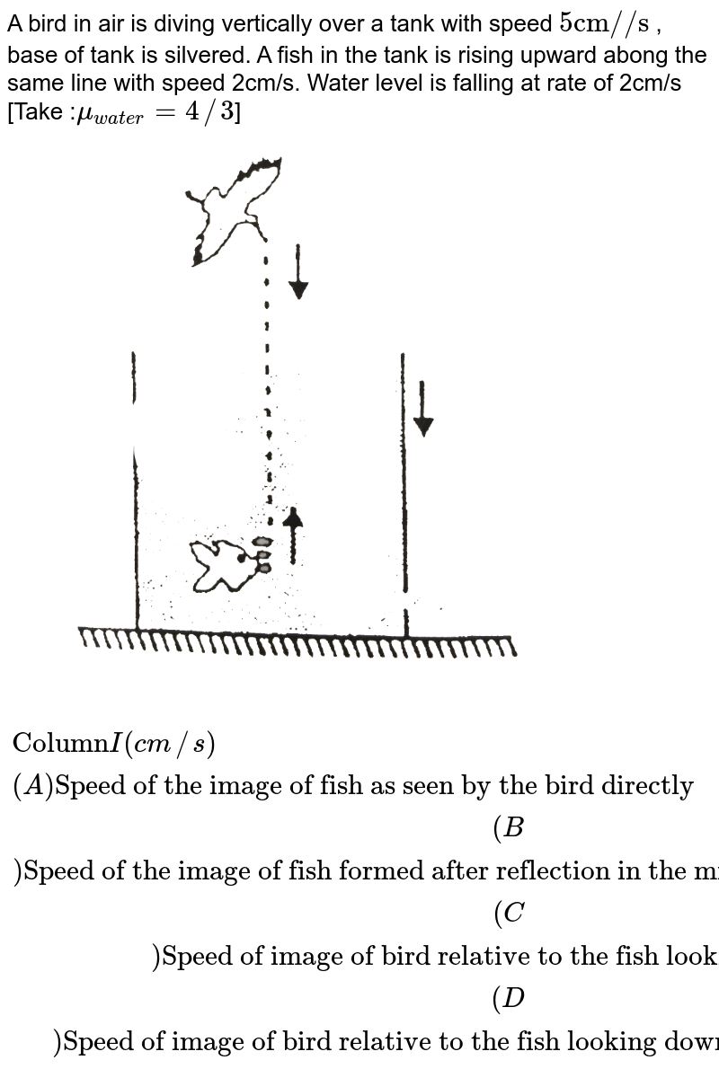 A bird in air is diving vertically over a tank with speed 5 "cm//s" , base of tank is silvered. A fish in the tank is rising upward abong the same line with speed 2cm/s. Water level is falling at rate of 2cm/s [Take : mu_(water) = 4//3 ] {:("Column"I(cm//s), "Column"II), ((A) "Speed of the image of fish as seen by the bird directly", (P) 8), ((B) "Speed of the image of fish formed after reflection in the mirror as seen by the bird", (Q) 6), ((C) "Speed of image of bird relative to the fish looking upwards" , (R) 3), ((D) "Speed of image of bird relative to the fish looking downwards in the mirror" , (S) 4):}