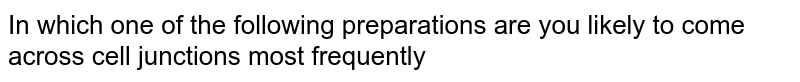 In which one of the following preparations are you likely to come across cell junctions most frequently