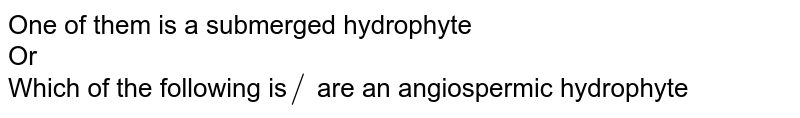 One of them is a submerged hydrophyte Or Which of the following is // are an angiospermic hydrophyte