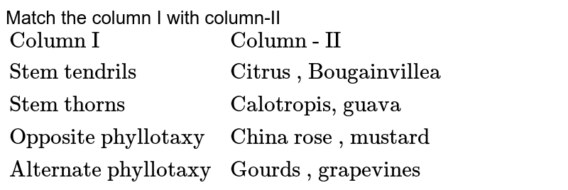 Match the column I with column-II {:("Column I","Column - II"),("Stem tendrils ","Citrus , Bougainvillea"),("Stem thorns","Calotropis, guava"),("Opposite phyllotaxy","China rose , mustard"),("Alternate phyllotaxy","Gourds , grapevines"):}