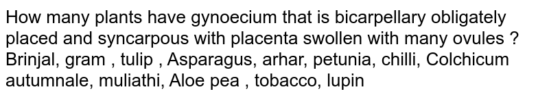 How many plants have gynoecium that is bicarpellary obligately placed and syncarpous with placenta swollen with many ovules ? Brinjal, gram , tulip , Asparagus, arhar, petunia, chilli, Colchicum autumnale, muliathi, Aloe pea , tobacco, lupin