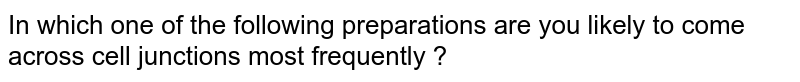 In which one of the following preparations are you likely to come across cell junctions most frequently ?