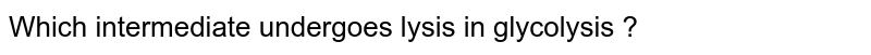 Which intermediate undergoes lysis in glycolysis ?