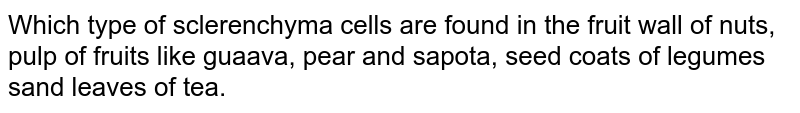 Which type of sclerenchyma cells are found in the fruit wall of nuts, pulp of fruits like guaava, pear and sapota, seed coats of legumes sand leaves of tea.
