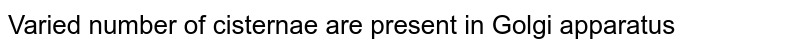 Varied number of cisternae are present in Golgi apparatus