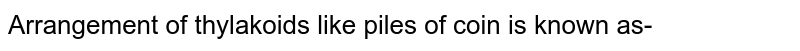 Arrangement of thylakoids like piles of coin is known as-