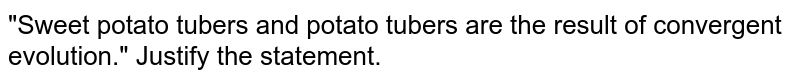 "Sweet potato tubers and potato tubers are the result of convergent evolution." Justify the statement.