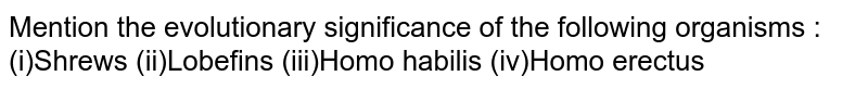 Mention the evolutionary significance of the following organisms: a) Shres b) Lobefins c) Homo habilis d) Homo erectus