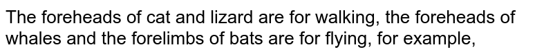The foreheads of cat and lizard are for walking, the foreheads of whales and the forelimbs of bats are for flying, for example,
