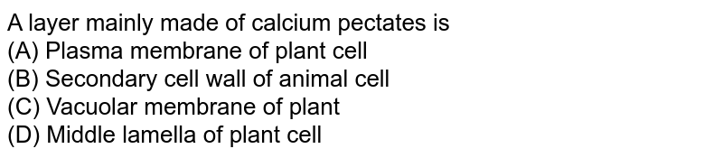 A layer mainly made of calcium pectates is (A) Plasma membrane of plant cell (B) Secondary cell wall of animal cell (C) Vacuolar membrane of plant (D) Middle lamella of plant cell