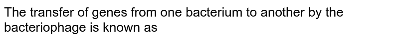 The transfer of genes from one bacterium to another by the bacteriophage is known as