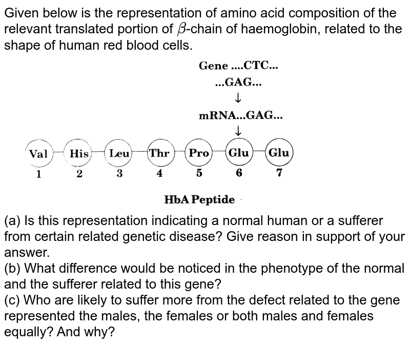 Given below is the representation of amino acid composition of the