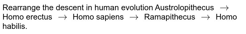 Rearrange the descent in human evolution Austrolopithecus rarr Homo erectus rarr Homo sapiens rarr Ramapithecus rarr Homo habilis.