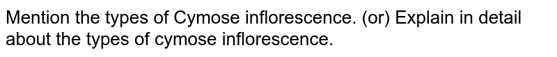 Mention the types of Cymose inflorescence. (or) Explain in detail about the types of cymose inflorescence.