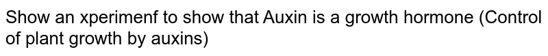 Show an xperimenf to show that Auxin is a growth hormone (Control of plant growth by auxins)